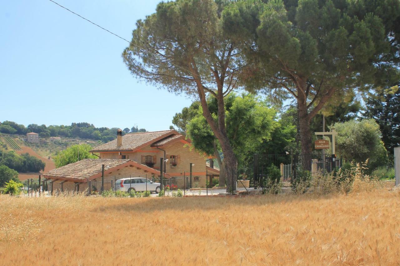 B&B Il Cavallino Civitanova Alta Exterior photo